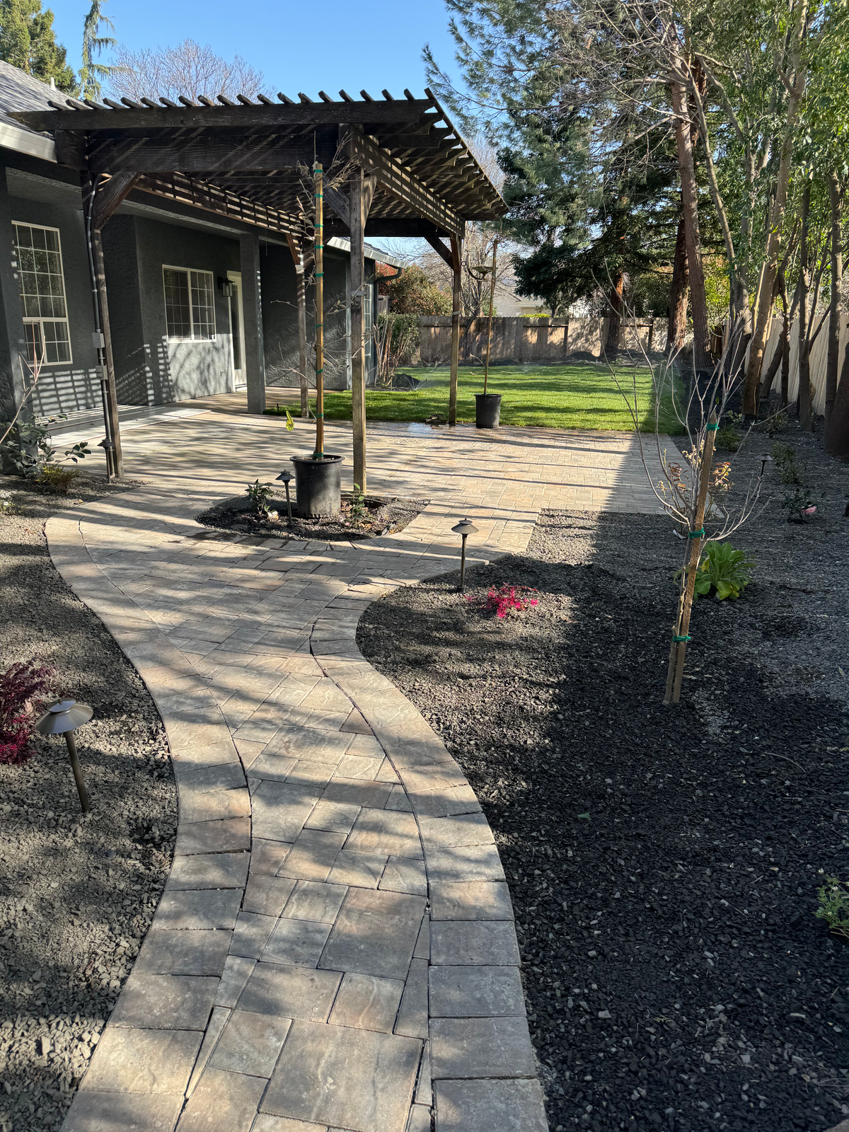 Completed backyard landscape with pavers and lighting