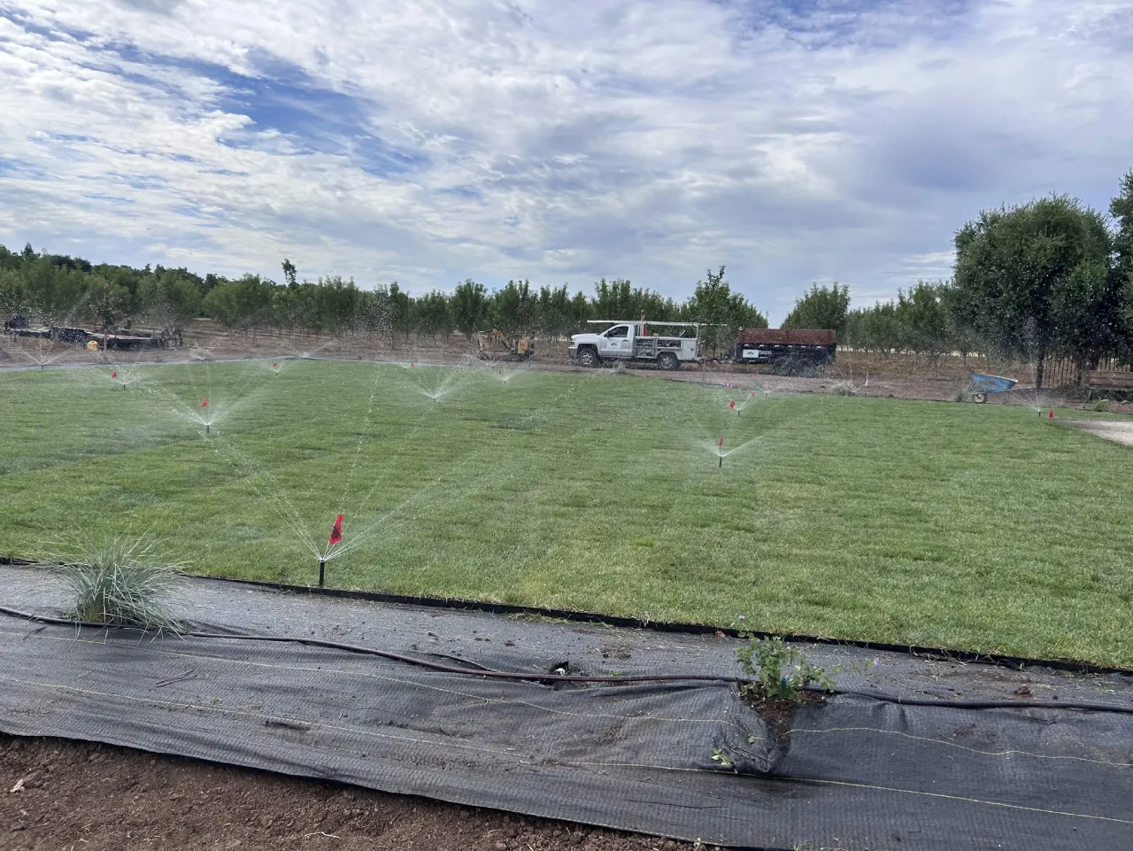 Sprinklers running across a freshly established sod lawn on a rural property