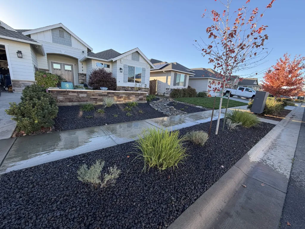 Completed front yard landscape with shrubs, lawn and rock beds