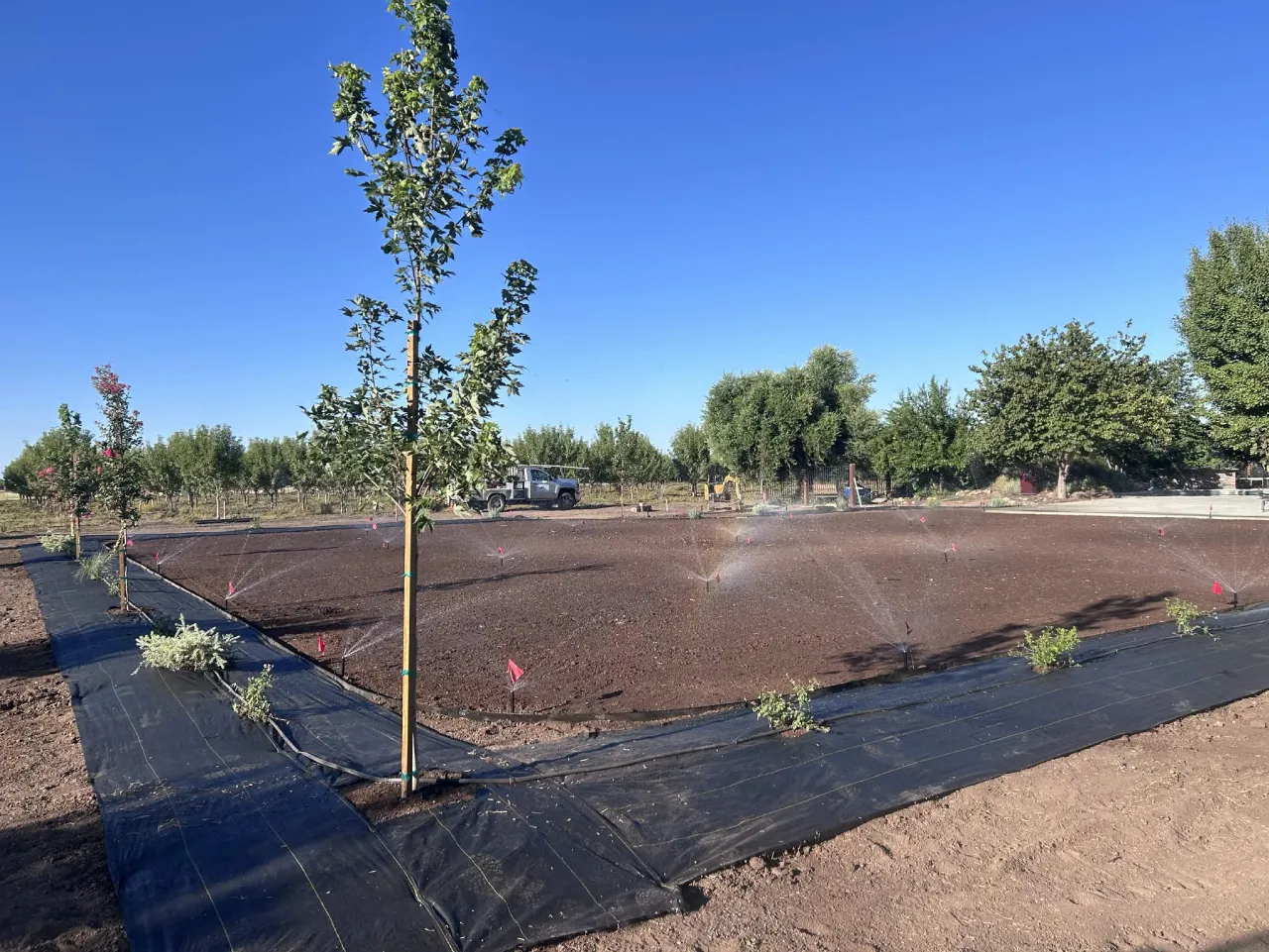 Sprinkler heads testing over prepared soil with weed fabric beds and drip tubing