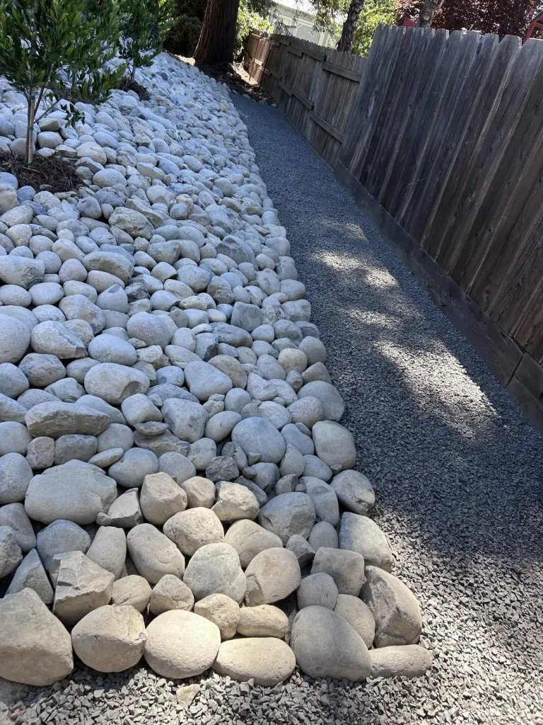 Side yard with white cobble border and crushed gravel walkway along a wood fence