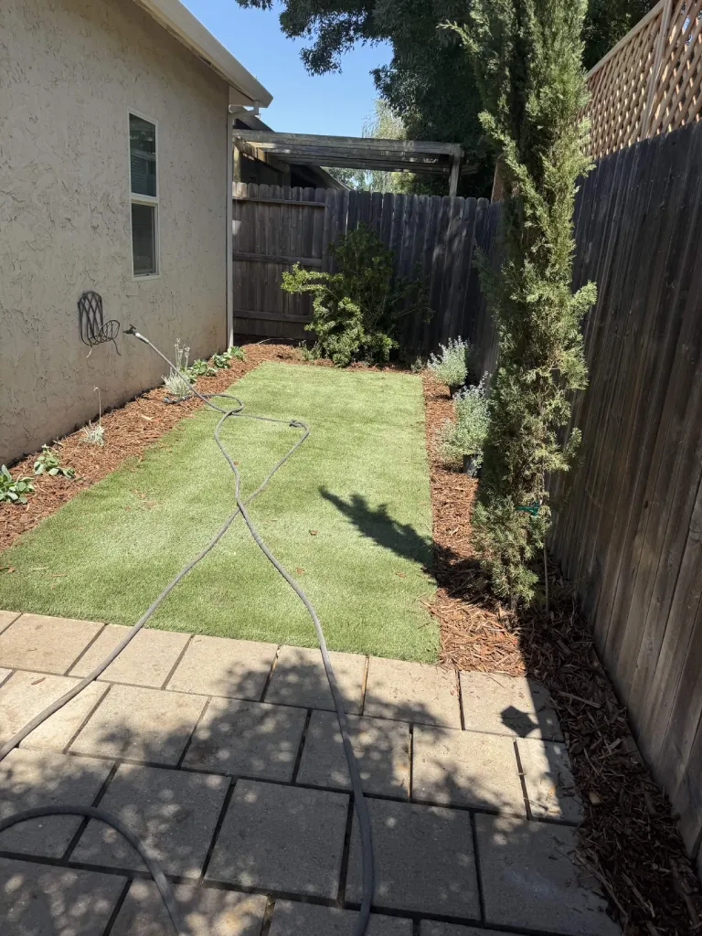 Narrow side yard with new sod lawn, paver edging and mulch planting beds