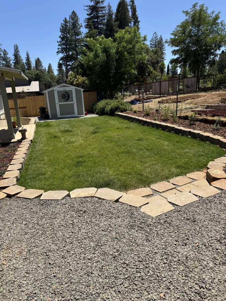 Backyard lawn install bordered by flagstone and gravel with a garden shed