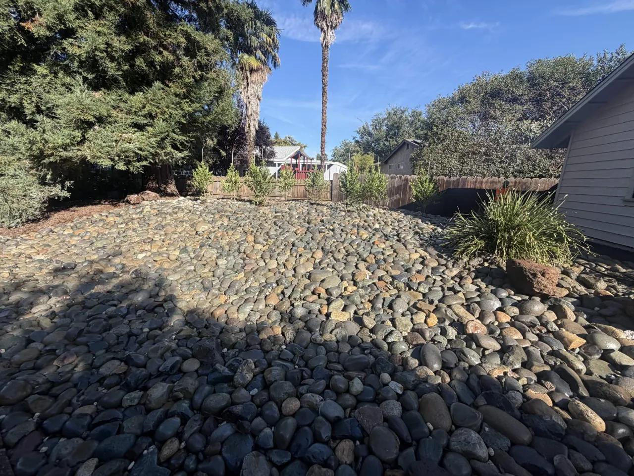 Backyard fully covered in river rock ground cover with new hedge plantings