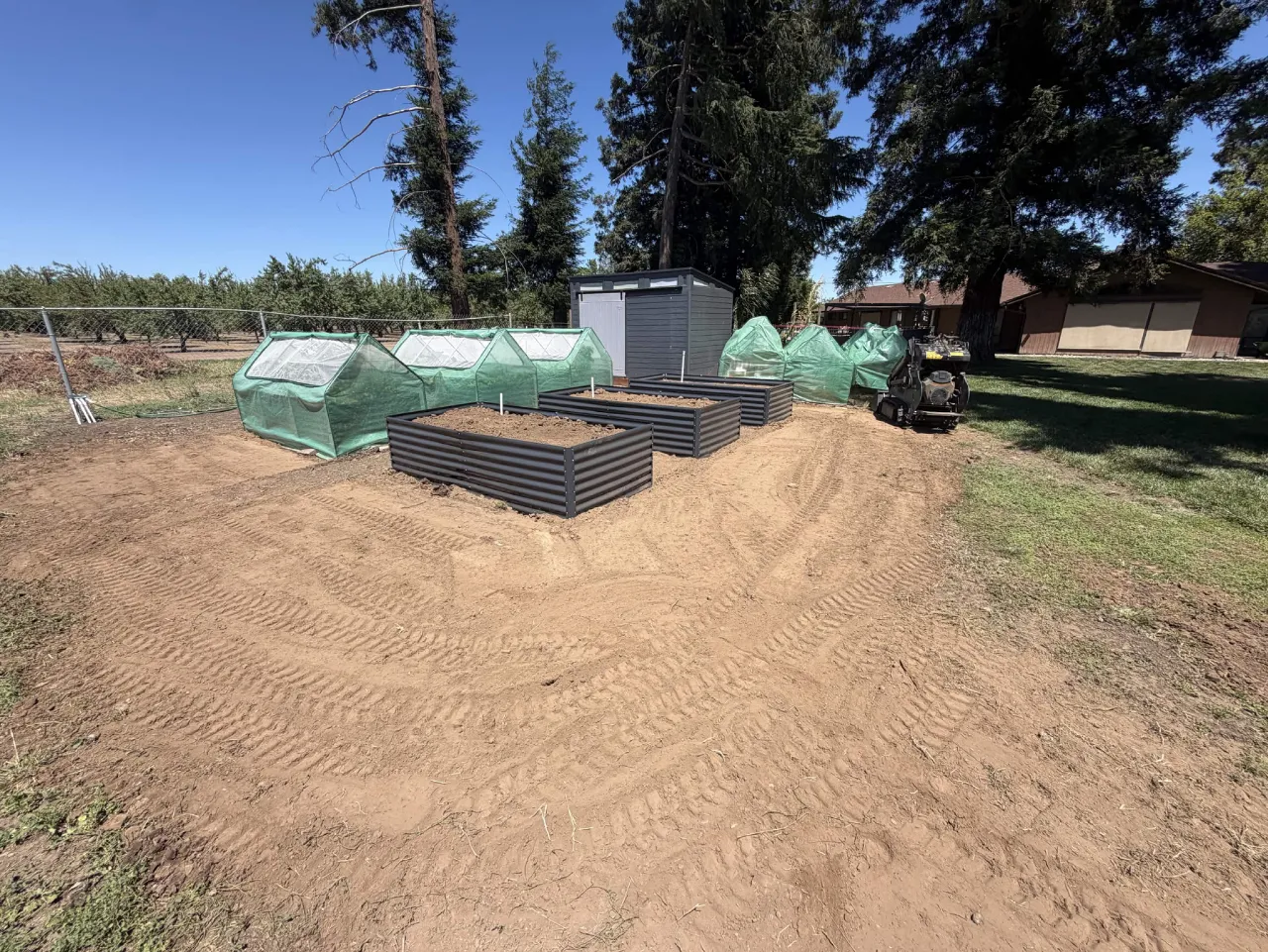 Backyard graded for a vegetable garden with metal raised beds and greenhouse covers